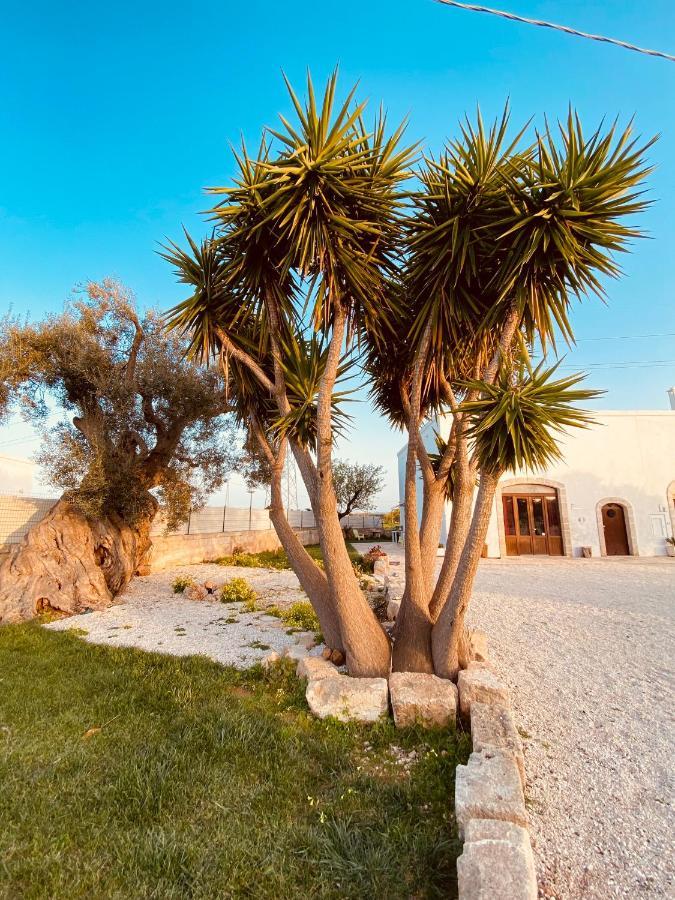 Guardian'S House Bed & Breakfast Monopoli Exterior photo